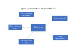 Структура и органы управления образовательной организацией
